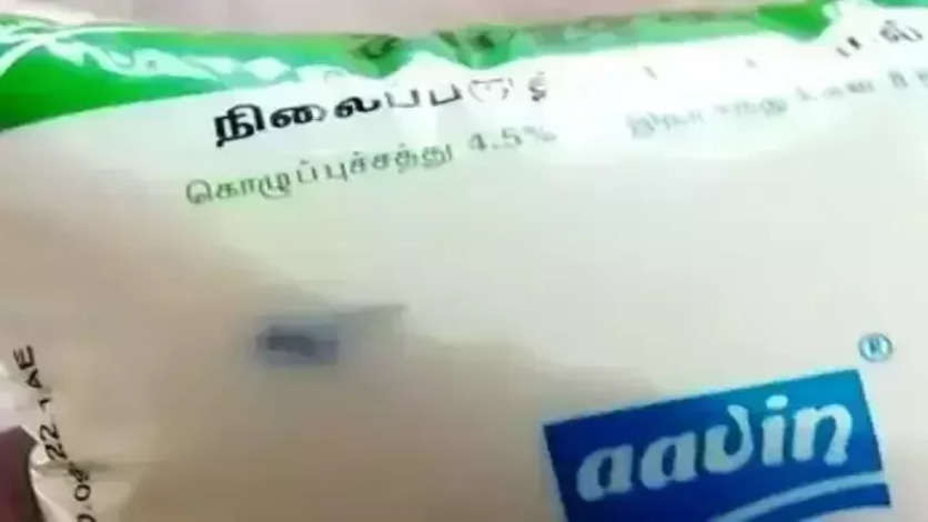 ஆவின் பால் பாக்கெட்டில் 'ஈ' - வாடிக்கையாளர்கள் அதிர்ச்சி..!!