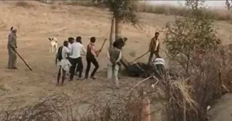 உரிமையாளரின் தலையை கடித்து துண்டாக்கிய ஒட்டகம்!!