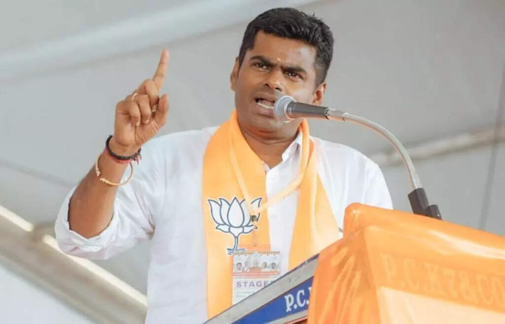 அமைச்சரவையில் செந்தில் பாலாஜி தொடர்ந்தால் நியாயமான விசாரணை எப்படி நடக்கும்?