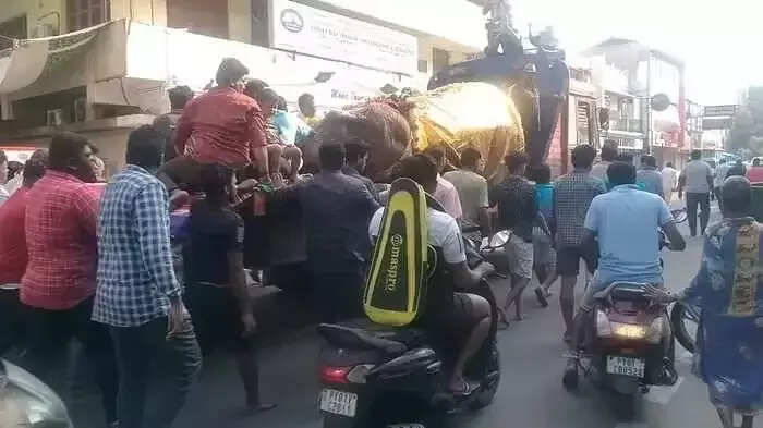 மணக்குள விநாயகர் கோவில் யானை மயங்கி விழுந்து மரணம்..! பக்தர்கள் கண்ணீர் விட்டு அஞ்சலி!!