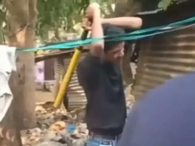 ஈவு இரக்கமின்றி கர்ப்பிணி நாயை அடித்துக் கொன்ற 4 கல்லூரி மாணவர்கள்..!!