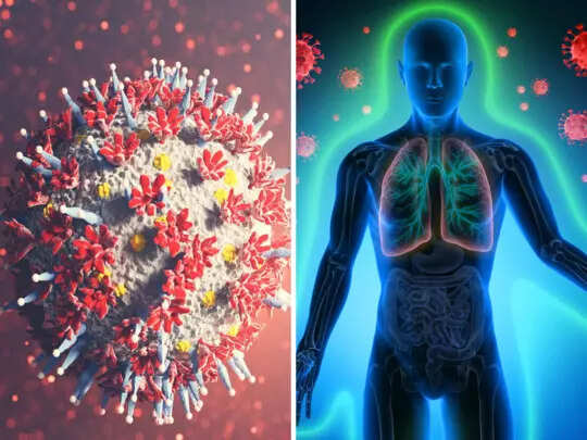 இந்தியாவில் புதிய வகை கொரோனா பரவினால் அதன் தாக்கம் இப்படி தான் இருக்கும் - மத்திய அரசு..!!