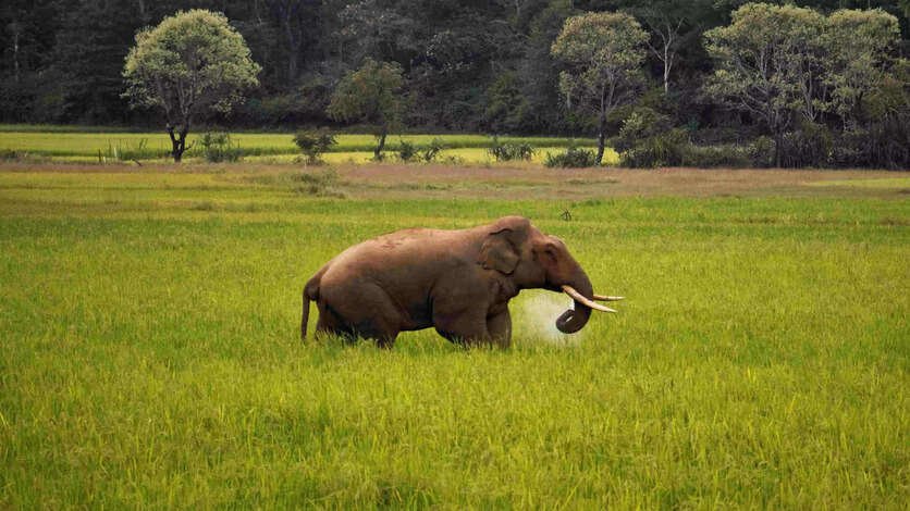 இன்று இரவு இந்த பகுதி மக்கள் வீட்டை விட்டு வெளியே வர வேண்டாம்..!!