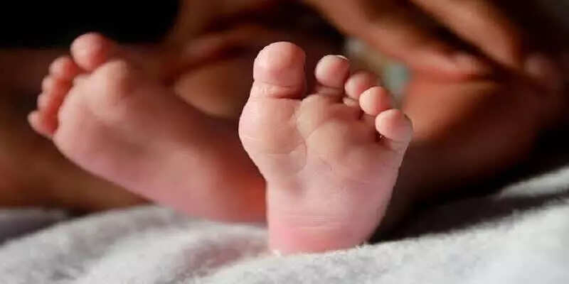 தெருநாய்கள் கடித்து ஒன்றரை வயது குழந்தை படுகாயம்!!