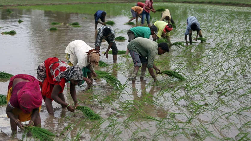 விவசாயிகளுக்கு ரூ.8,000.. வரும் பட்ஜெட்டில் அறிவிக்க வாய்ப்பு..?