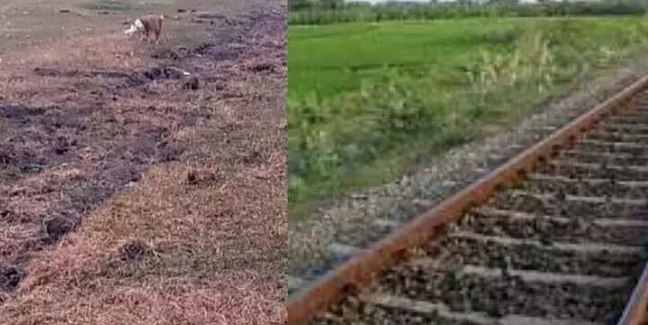 கிணத்த காணோம் பாணியில் இங்கே 2 கி.மீ. தொலைவு ரயில் தண்டவாளத்தை காணோம்..!!