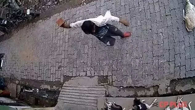 குரைத்துக் கொண்டே இருந்ததால் நாயை கொன்ற இளைஞர்!!