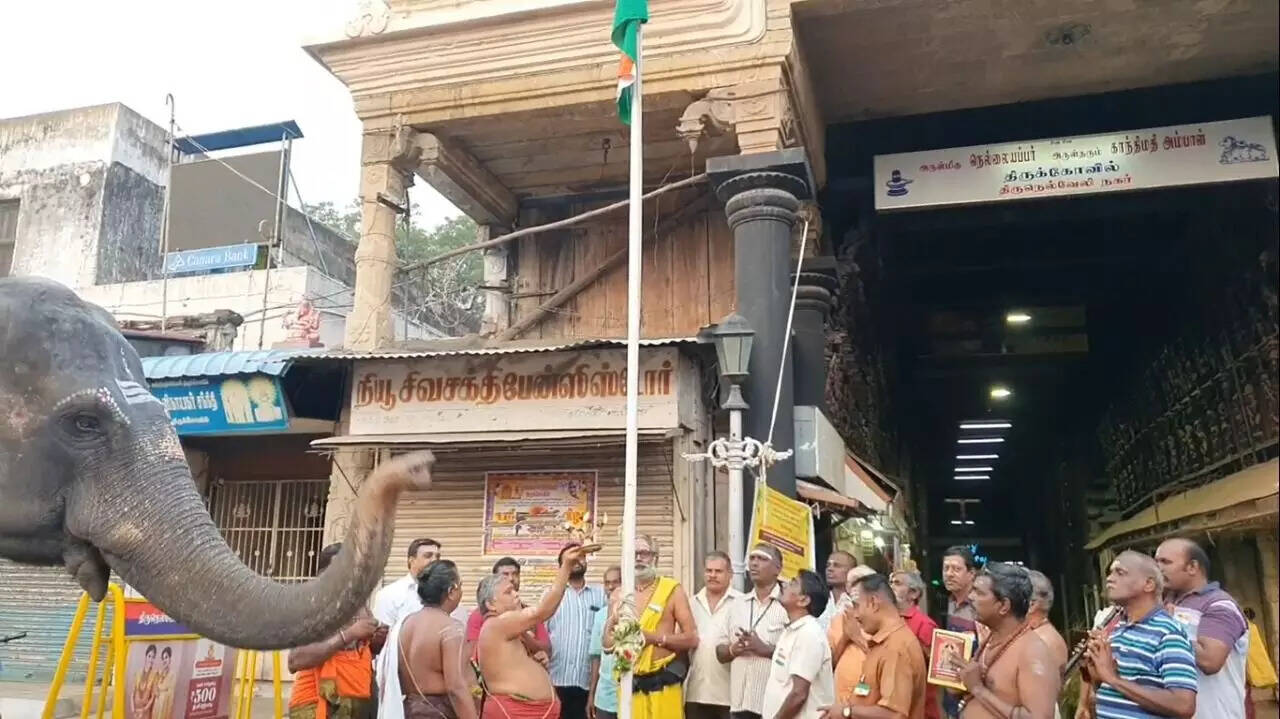 தேசியக் கொடிக்கு சல்யூட் அடித்த கோவில் யானை!!