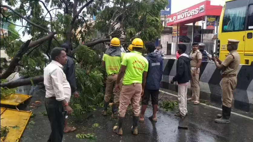 சென்னை பாடியில் ராட்சத மரம் விழுந்ததில் போக்குவரத்து பாதிப்பு..!!