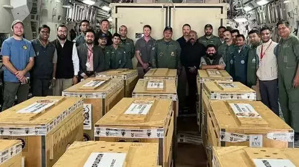 இந்தியாவுக்கு மேலும் 12 சிறுத்தைகள் வருகை!! மொத்த எண்ணிக்கை 20ஆக உயர்வு