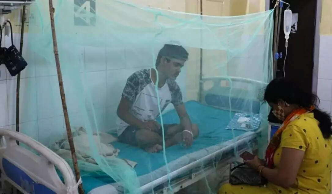 டெங்கு பாதிப்பால் 36 பேர் உயிரிழப்பு!?