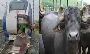 வந்தே பாரத் ரயில் விபத்து...தொடரும் சோகம்!... 2 மாதங்களில் 4 முறை விபத்து!!!!