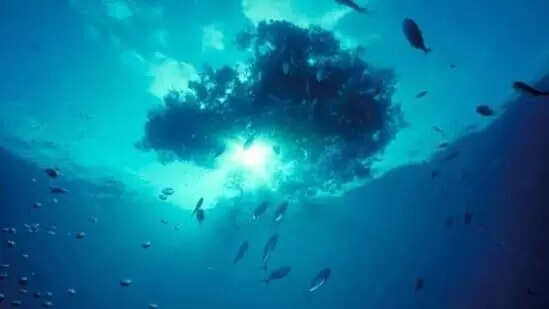 ஆழ்கடலுக்குள் மனிதனை அனுப்பும் திட்டம்...எப்போது நிறைவு?