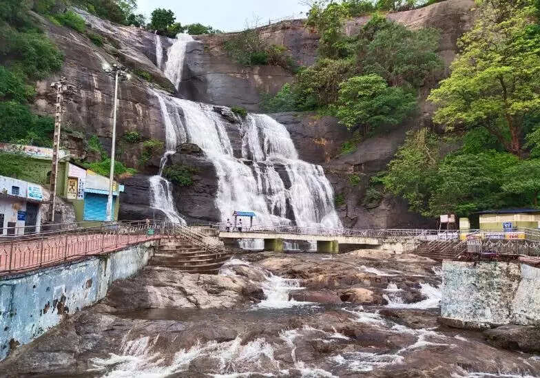 வெள்ளப்பெருக்கு - குற்றாலம் அருவியில் குளிக்கத் தடை