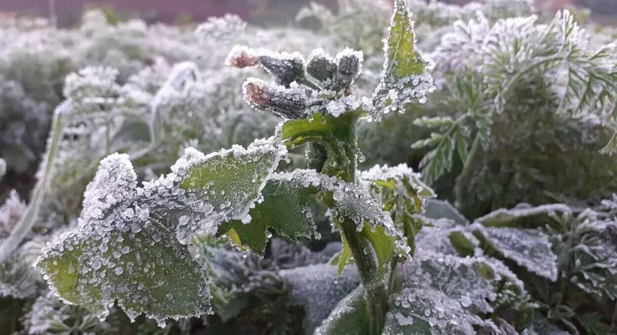 5 நாட்களுக்கு மழைக்கு வாய்ப்பு!!