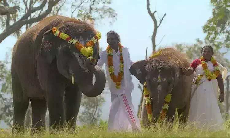 இந்தியாவின் தி எலிஃபண்ட் விஸ்பரர்ஸ் ஆவண குறும்படத்திற்கு ஆஸ்கர் விருது...!