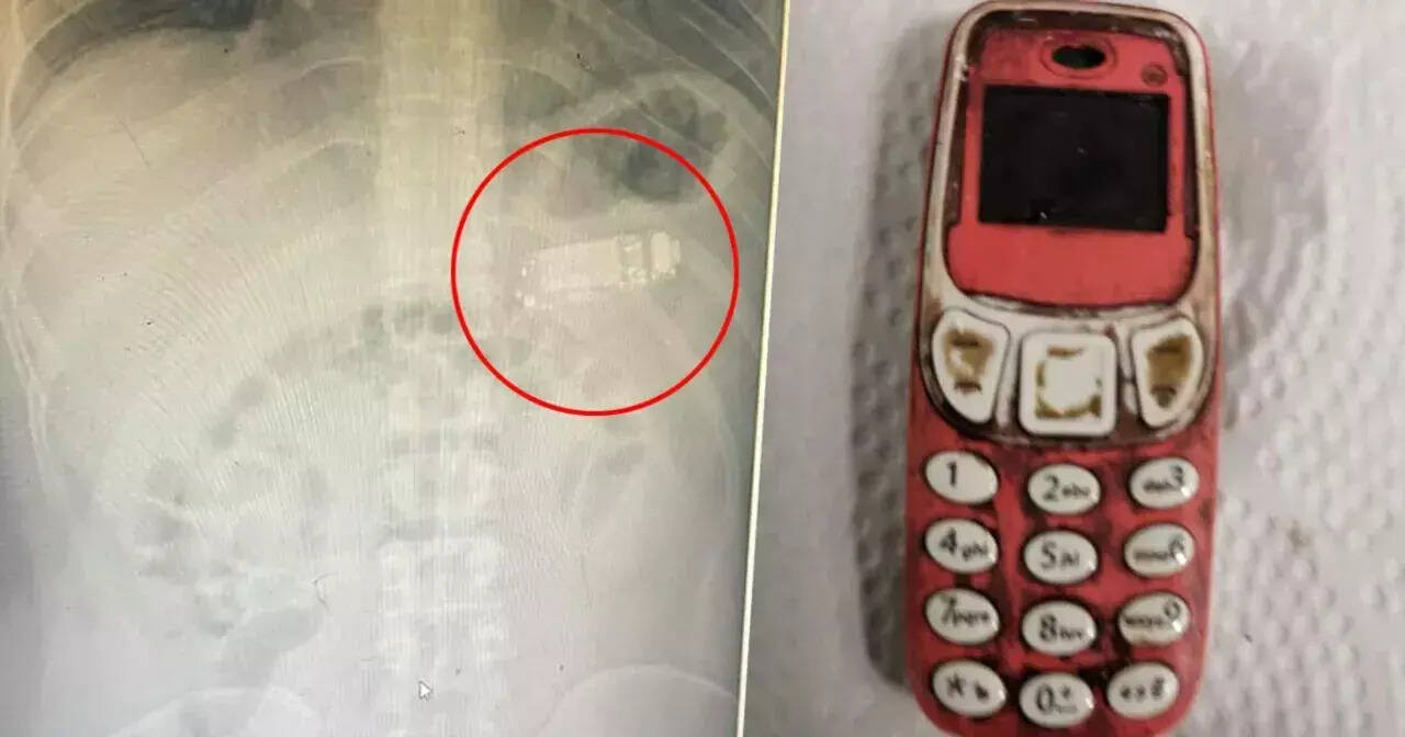 செல்ஃபோனை கடித்துத் தின்ற சிறை கைதி!!