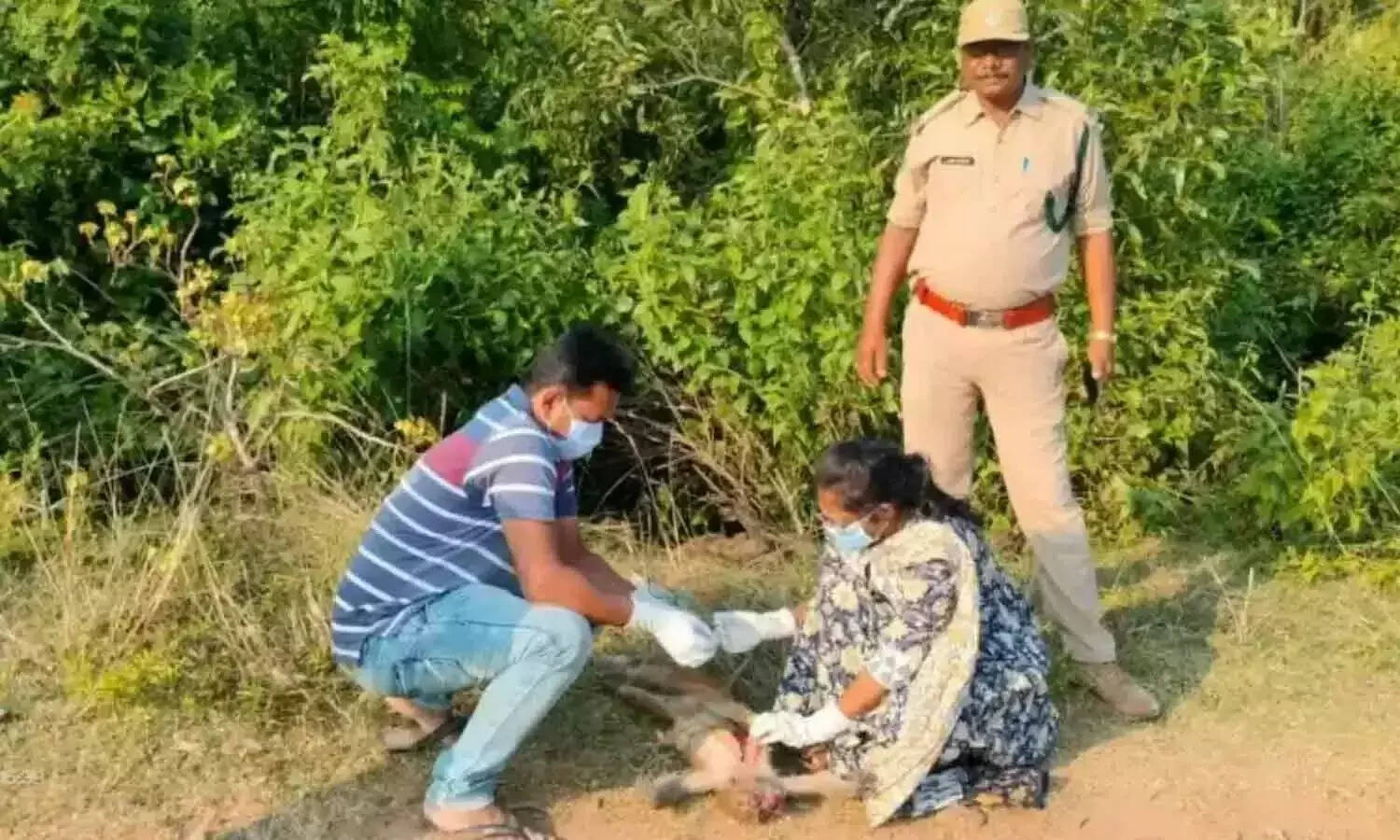 அடக்கொடுமையே..!!ஆந்திராவில் 45 குரங்குகள் விஷம் வைத்து கொலை..!!