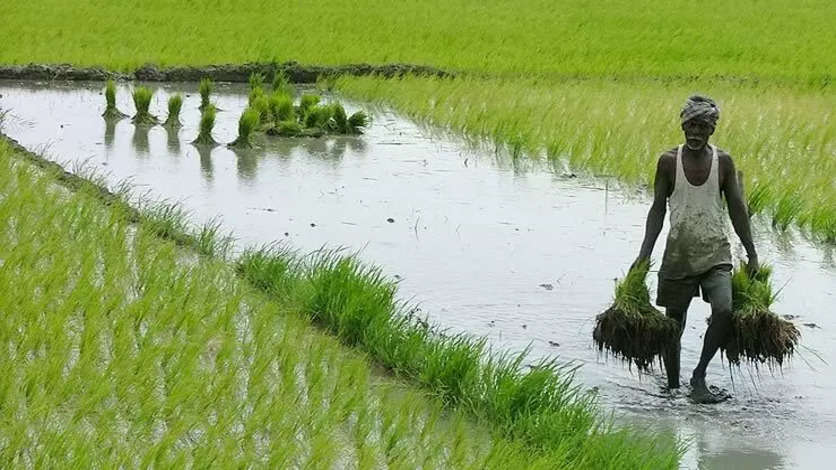 தமிழக விவசாயிகளுக்கு வேளாண்துறை விடுத்துள்ள முக்கிய அறிவிப்பு..!