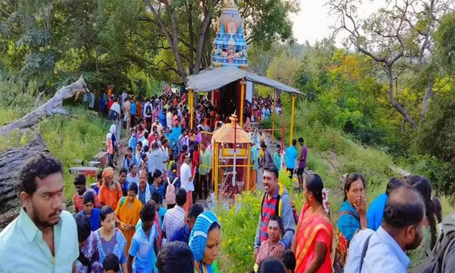 சதுரகிரி கோவிலுக்கு செல்ல இன்று அனுமதி!!