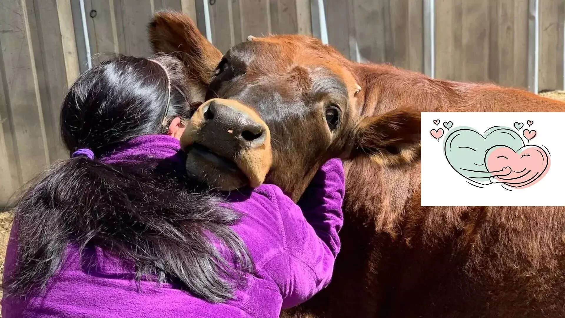 பிப்ரவரி 14 காதலர் தினம் கிடையாது – மத்திய அரசு அறிவிப்பு!!