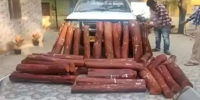 புஷ்பா பட பாணியில் செம்மரக் கட்டைகளை கடத்தல்... 9 தமிழர்கள் கைது!!