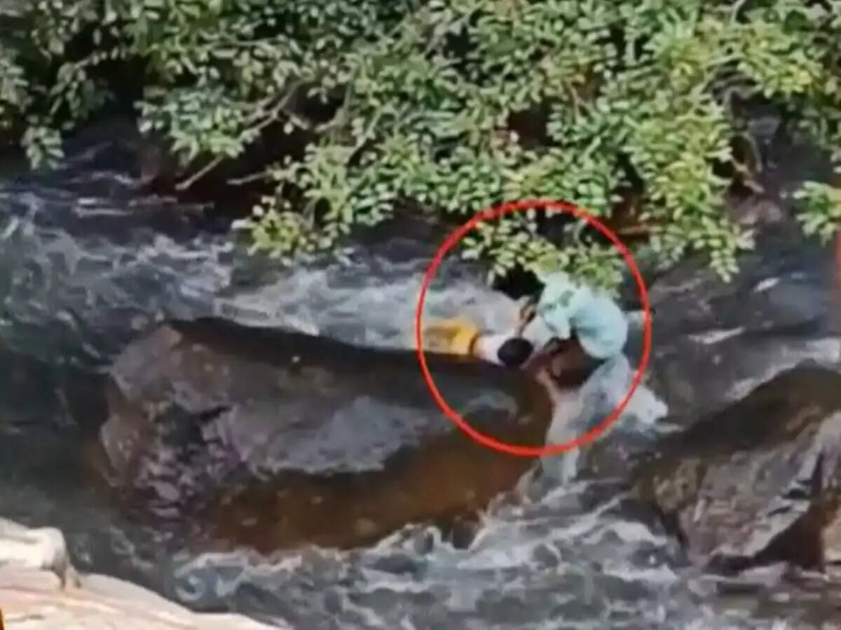 அருவியில் அடித்துச் செல்லப்பட்ட சிறுமியை காப்பாற்றிய இளைஞர்!!