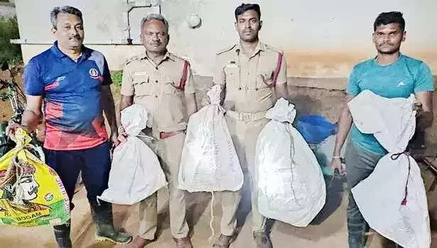 திண்டுக்கல் அருகே ஒரே வீட்டில் கொத்துக்கொத்தாக பாம்புகள்...6 கொம்போறி மூக்கன் பிடிபட்டது..!!