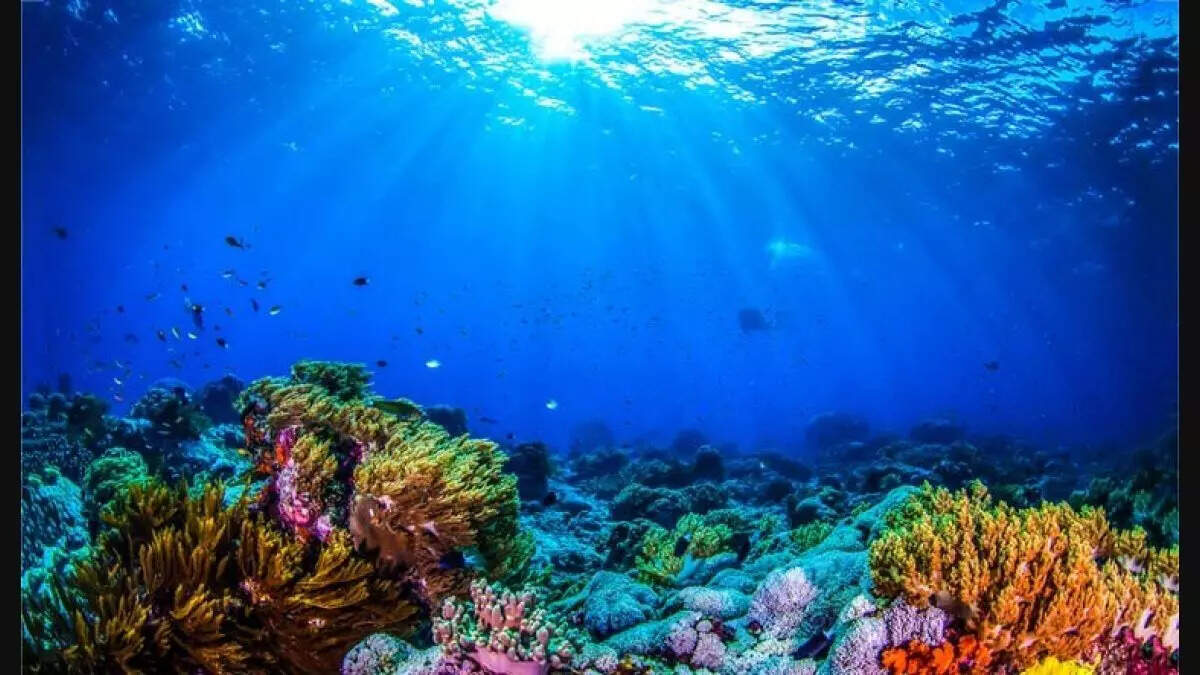 ஆழ்கடலுக்குள் மனிதனை அனுப்பும் திட்டம்...எப்போது நிறைவு?