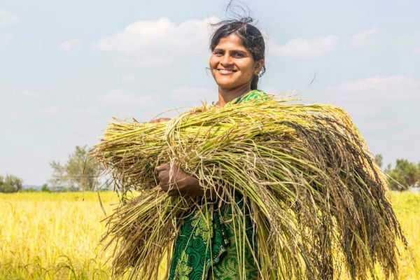 சேற்றில் இருந்து ஆன்லைனிலும் கால்பதிக்கும் வேப்பங்குளத்து விவசாயிகள்..