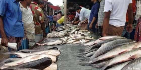கோவையிலும் அதிர்ச்சி!! 70 கிலோ ரசாயனம் தடவிய மீன்கள் பறிமுதல்...!