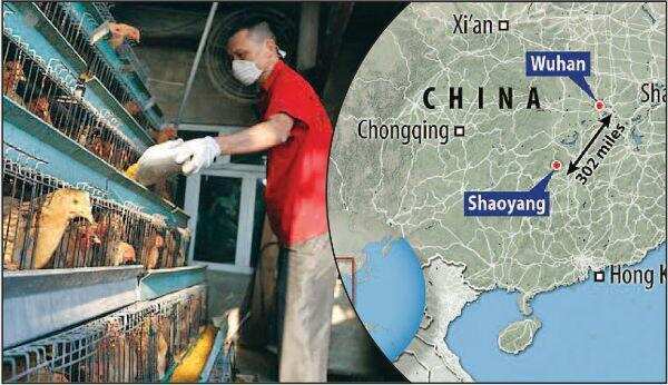 சீனாவை தாக்கிய அடுத்த கொடூரம்! H5N1 வைரஸால் மக்கள் பீதி!