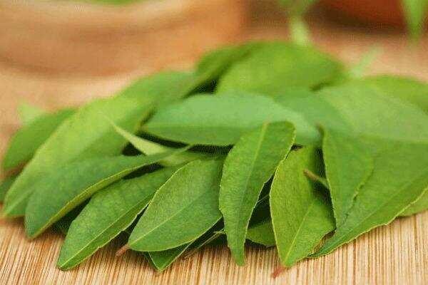 கறிவேப்பிலையில் இவ்வளவு இருக்கா? தெரிஞ்சுக்கிட்டா தூக்கி போட மாட்டீங்க..