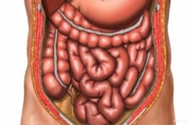 ஆயுளை அதிகரிக்க குடலை சுத்தம் செய்யுங்கள்