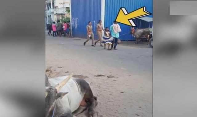 பெண் காவலரை வீடியோ எடுத்து டிக்டாக் செய்து வெளியிட்ட இளைஞர்..! அப்புறம் நடந்ததை பாருங்க.. பெண் காவலரை வீடியோ எடுத்து டிக்டாக் செய்து வெளியிட்ட இளைஞர்..! அப்புறம் நடந்ததை பாருங்க..