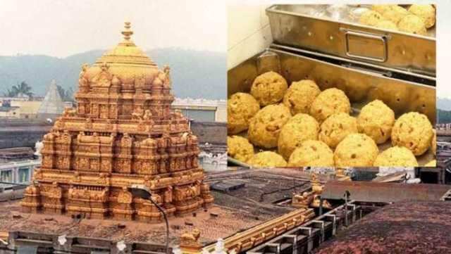 திருப்பதியில் லட்டு ரத்து! தேவஸ்தானம் அறிவிப்பு!