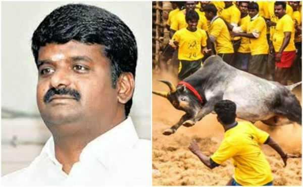 அலங்காநல்லூா் ஜல்லிக்கட்டில் சீறிப் பாய்ந்த அமைச்சர் விஜயபாஸ்கரின் 3 காளைகள்! களத்தில் கெத்து காட்டி வீரர்களை பந்தாடியது! அலங்காநல்லூா் ஜல்லிக்கட்டில் சீறிப் பாய்ந்த அமைச்சர் விஜயபாஸ்கரின் 3 காளைகள்! களத்தில் கெத்து காட்டி வீரர்களை பந்தாடியது!