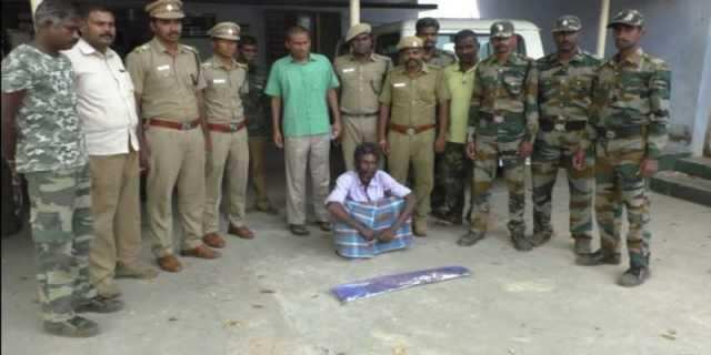 சிறுமுகை பவானியாற்றில் முதலை வேட்டை.. இறைச்சியுடன் ஒருவர் கைது 