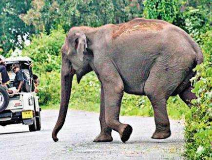 மலையேற்ற பயிற்சிக்கு சென்ற பெண் கணவன் கண்முன் மனைவிக்கு நடந்த சோகம்..!