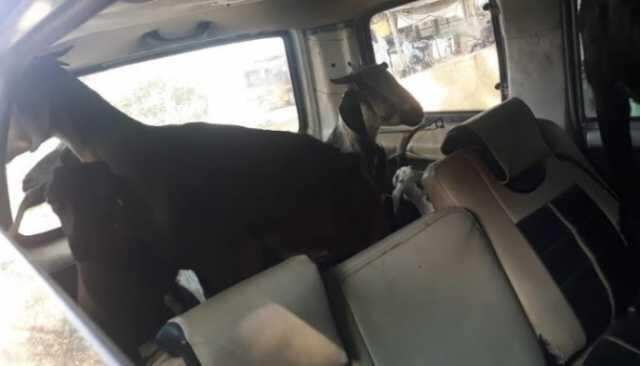 காரில் வந்து ஆடுகளை திருடிய கும்பல்.. சந்தையில் சுற்றி வளைத்த போலீஸ்..