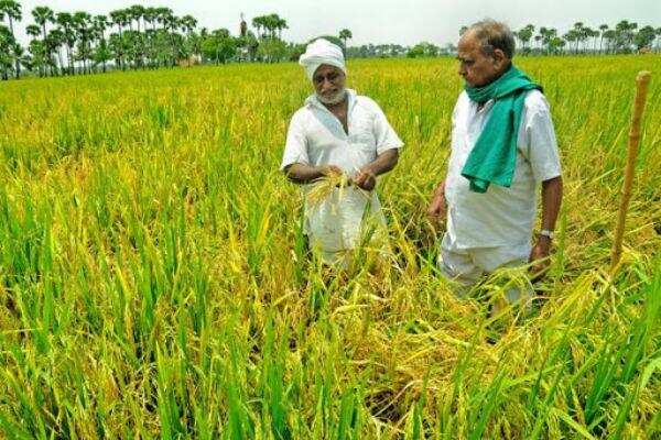 சேற்றில் இருந்து ஆன்லைனிலும் கால்பதிக்கும் வேப்பங்குளத்து விவசாயிகள்..