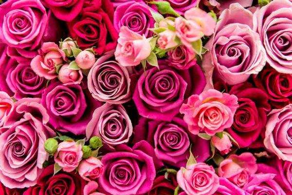 துக்க தினத்தை கொண்டாடும் காதலர்கள்!