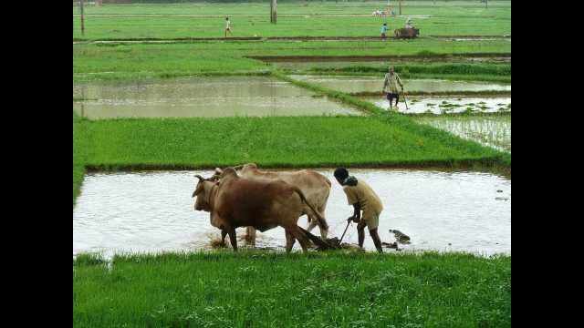 பூமி திருத்தி உண்’ - மத்திய பட்ஜெட்டில் ஒலித்த ஆத்திச்சூடி..!