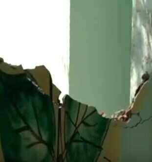 அண்ணே... டயர் தனியா ஓடுது! பீதியில் உறைந்த பயணிகள்!! தனியார் பேருந்துகளின் அராஜகம்!!