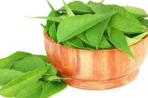 கறிவேப்பிலையில் இவ்வளவு இருக்கா? தெரிஞ்சுக்கிட்டா தூக்கி போட மாட்டீங்க..