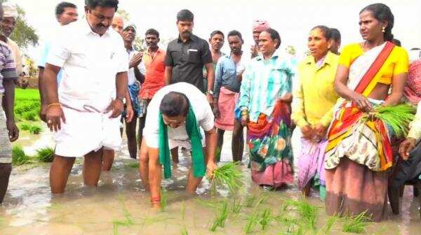 வயலில் இறங்கி நாற்று நட்டார் விவசாயிகளின் முதல்வர் எடப்பாடி!!