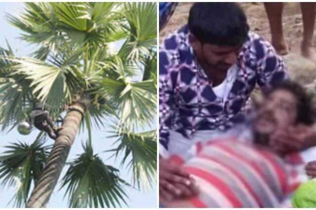பனைமரத்தில் பதநீர் எடுக்க ஏறிய நபர்.. திடீரென அறுந்து விழுந்த கயிறால் சோகம்..
