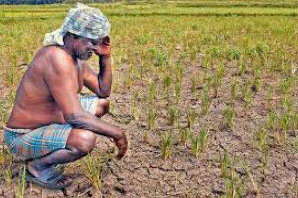 வயிற்றில் புளியைக் கரைக்கும் முதல்வர்! பீதியில் கடலூர் விவசாயிகள்!!