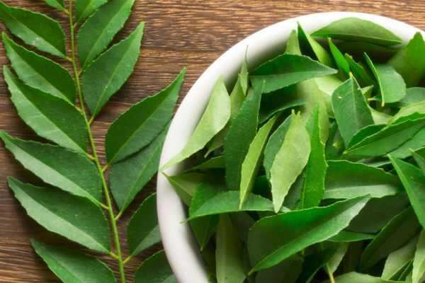 கறிவேப்பிலையில் இவ்வளவு இருக்கா? தெரிஞ்சுக்கிட்டா தூக்கி போட மாட்டீங்க..