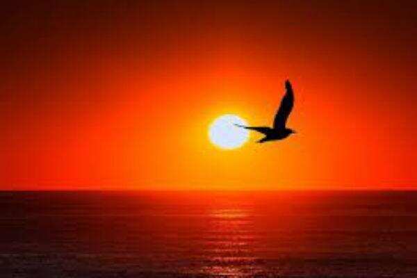 கொரோனா வைரஸ் பின்னங்கால் பிடற ஓட  என்ன செய்ய வேண்டும் என்கிறார்கள் டாக்டர்கள்?